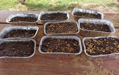 v&iacute;t&aacute;me jaro - velikonoce - 194195f9 6a39 4d56 a8f0 697b68614ccb 380x240