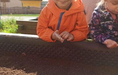 Den Země - 1ff600fe b77a 4949 8d1c 3c0cde0d55e3 380x240