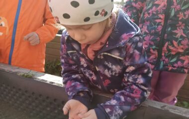 Den Země - 3b046029 54ee 4345 8b8e 267a00bd1ad4 380x240