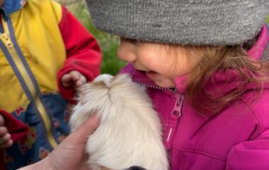 tě&scaron;&iacute;me se na velikonoce - 40213b0d 806a 4e5c b1d3 0aee38d3bb26 380x240