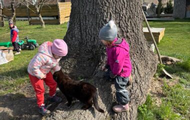 tě&scaron;&iacute;me se na velikonoce - 46f18678 bd32 4433 b5ff d702e0d22009 380x240