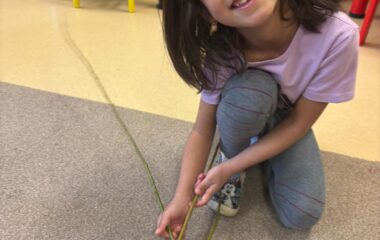 tě&scaron;&iacute;me se na velikonoce - 4c47df92 4ee9 472f 8cdf 50b8d1c15da3 380x240