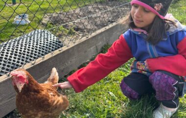 tě&scaron;&iacute;me se na velikonoce - 4dc2dbf8 14eb 446f 8308 d15c8c917850 380x240