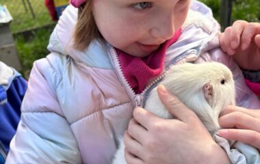 tě&scaron;&iacute;me se na velikonoce - 502e732f 0854 41fc 81f6 a1ee757d9630 380x240