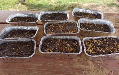 v&iacute;t&aacute;me jaro - velikonoce - 5274497f fb70 4f35 8733 3712a5562f40 380x240