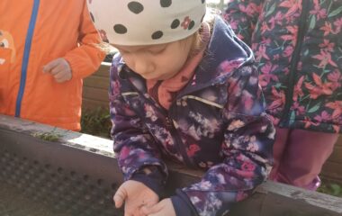 Den Země - 54104059 b9d4 4d32 95ee 6ef87a736d38 380x240