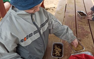 v&iacute;t&aacute;me jaro - velikonoce - 5c27a694 2719 4092 8cb7 959399cbc61f 380x240