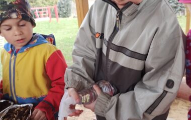 v&iacute;t&aacute;me jaro - velikonoce - 5c32361d 5138 401a a9f8 401f84d8bf2c 380x240