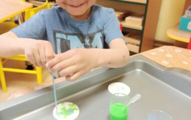 Den Země - 7f48505b 0822 4fac 9955 f81dc6b3aaa8 380x240