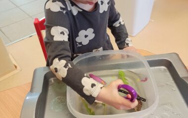 Den Země - 9cffa06c a1e9 44fd 9fcb 617ba74d14f7 380x240