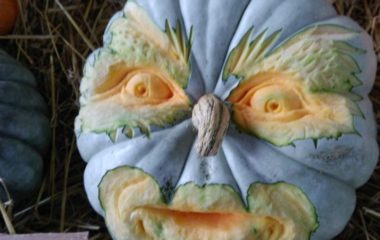 Hellowenn - IMG 20171205 WA0000 380x240
