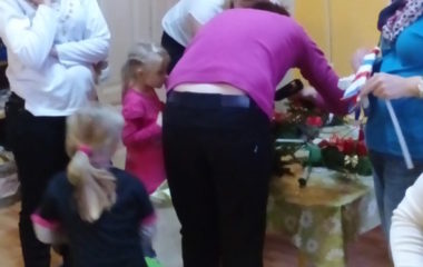 školní rok 2015 - 2016 - 26.11 11 380x240