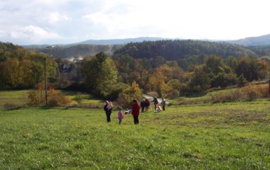 školní rok 2007 - 2008 - Snímek 072 380x240