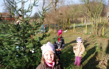 školní rok 2009 - 2010 - advent3 380x240