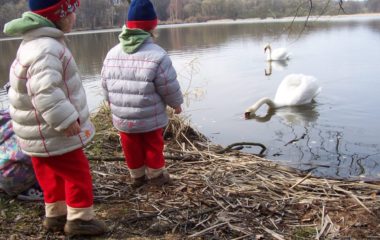 školní rok 2007 - 2008 - duben 019 380x240