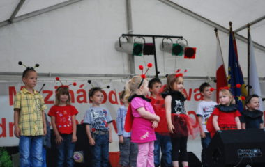 školní rok 2012 - 2013 - festival 20 380x240