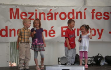školní rok 2010 - 2011 - festival 2011 13 380x240