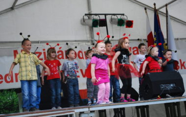 školní rok 2012 - 2013 - festival 21 380x240