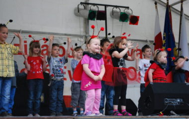 školní rok 2012 - 2013 - festival 22 380x240
