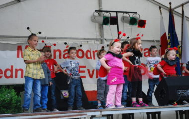 školní rok 2012 - 2013 - festival 23 380x240