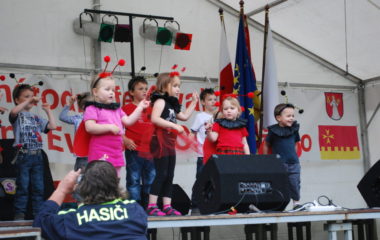 školní rok 2012 - 2013 - festival 26 380x240