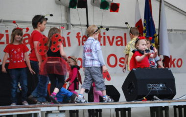 školní rok 2012 - 2013 - festival 28 380x240