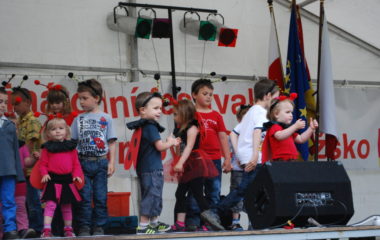 školní rok 2012 - 2013 - festival 29 380x240