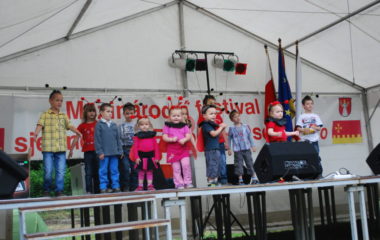 školní rok 2012 - 2013 - festival 30 380x240