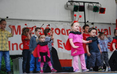 školní rok 2012 - 2013 - festival 32 380x240