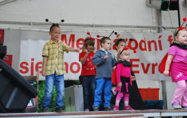 školní rok 2012 - 2013 - festival 33 380x240