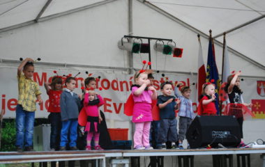 školní rok 2012 - 2013 - festival 37 380x240