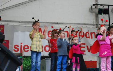 školní rok 2012 - 2013 - festival 380x240