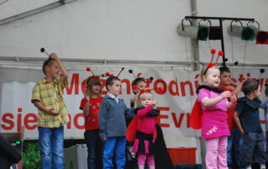 školní rok 2012 - 2013 - festival 41 380x240