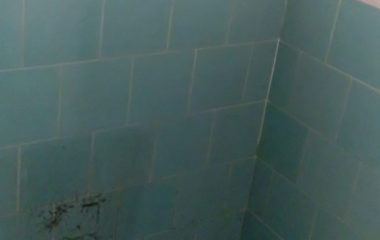 letošní zvelebování naší školičky  -  moc za to děkujeme.... - DSC 4794 380x240
