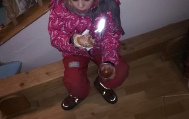 loučení se s podzimem a přivítání adventu - IMG 20181204 WA0018 380x240