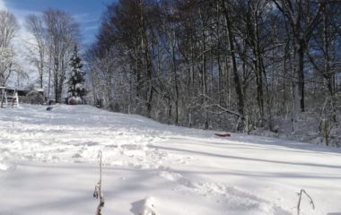 zimní radovánky - IMG 20190225 WA0143 380x240