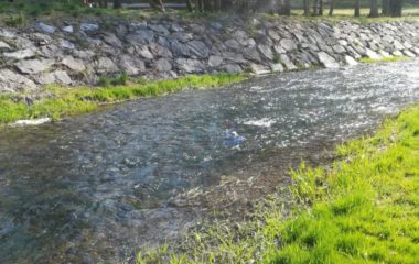 loučení se s "Paní Zimou" - IMG 20190404 WA0030 380x240