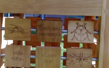 naše nová školní zahrada - DSC 6110 380x240