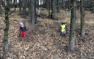 předvánoční čas - IMG 20200103 WA0043 380x240