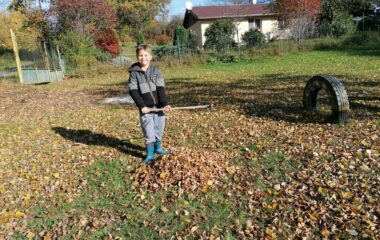 podzimní hrátky - IMG 20211021 WA0003 380x240