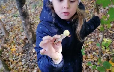 podzimní hrátky - IMG 20211101 WA0015 380x240