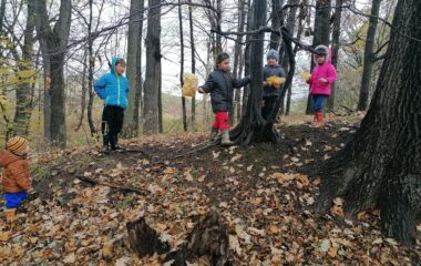 "dušičkový" týden - IMG 20211109 WA0004 1 380x240
