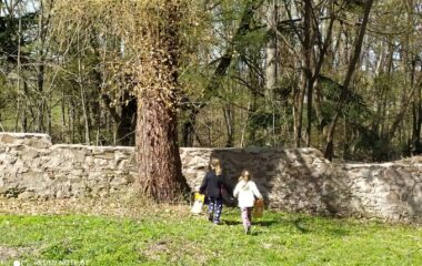 hledání velikonočních vajíček na hradě - IMG 20220414 WA0028 380x240