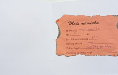 pro naše maminky :-) - IMG 20220513 120049 380x240