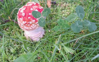 září ve školce - IMG 20220926 WA0005 380x240