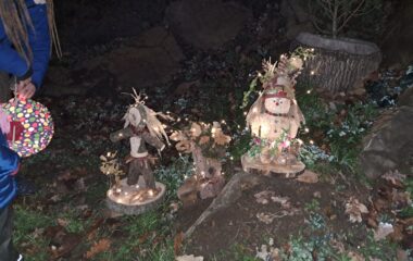 loučení se s podzimem - IMG 20221127 WA0009 380x240