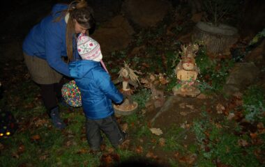 loučení se s podzimem - IMG 20221127 WA0011 380x240