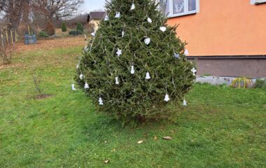 loučení se s podzimem - IMG 20221127 WA0013 380x240