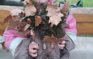 loučení se s podzimem - IMG 20221127 WA0019 380x240