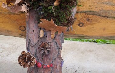 loučení se s podzimem - IMG 20221127 WA0024 380x240